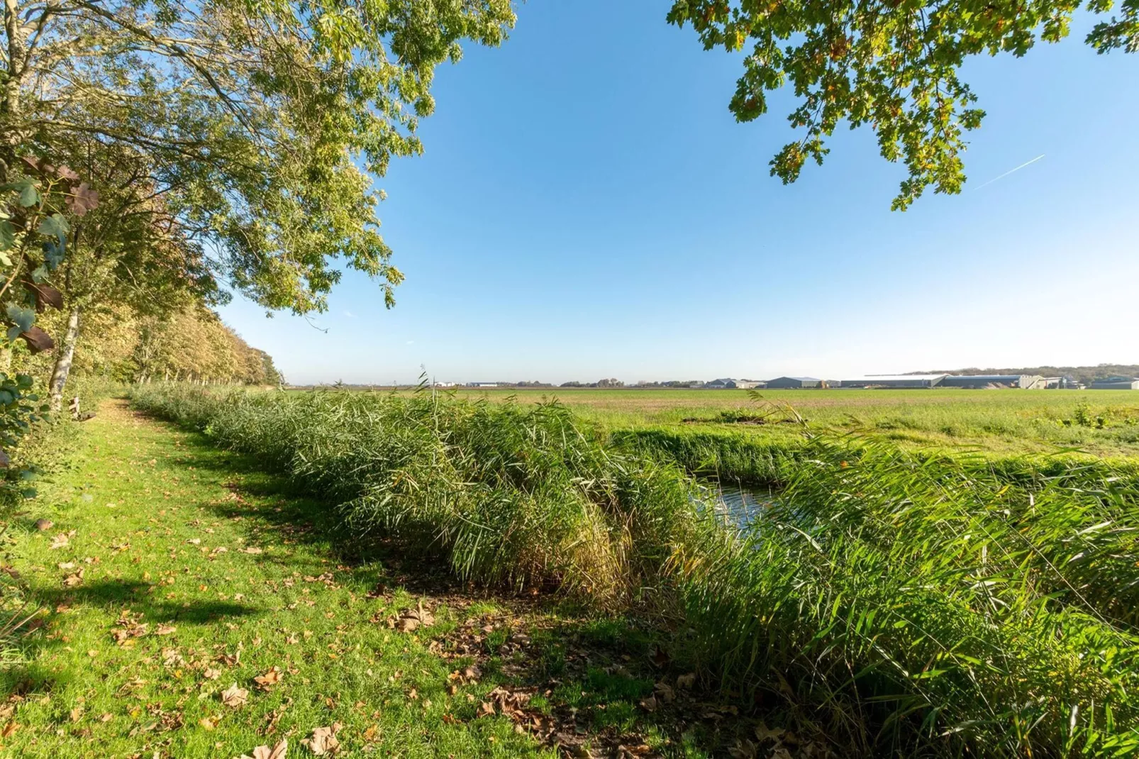 Duinland 110-Gebieden zomer 5km