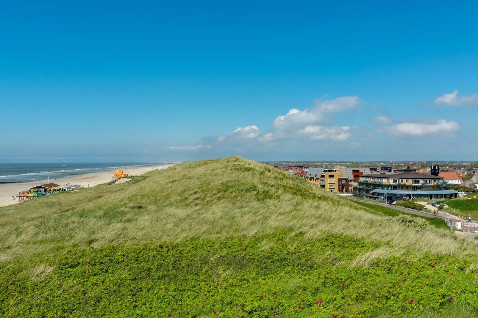 Wijde Blick 103-Uitzicht zomer