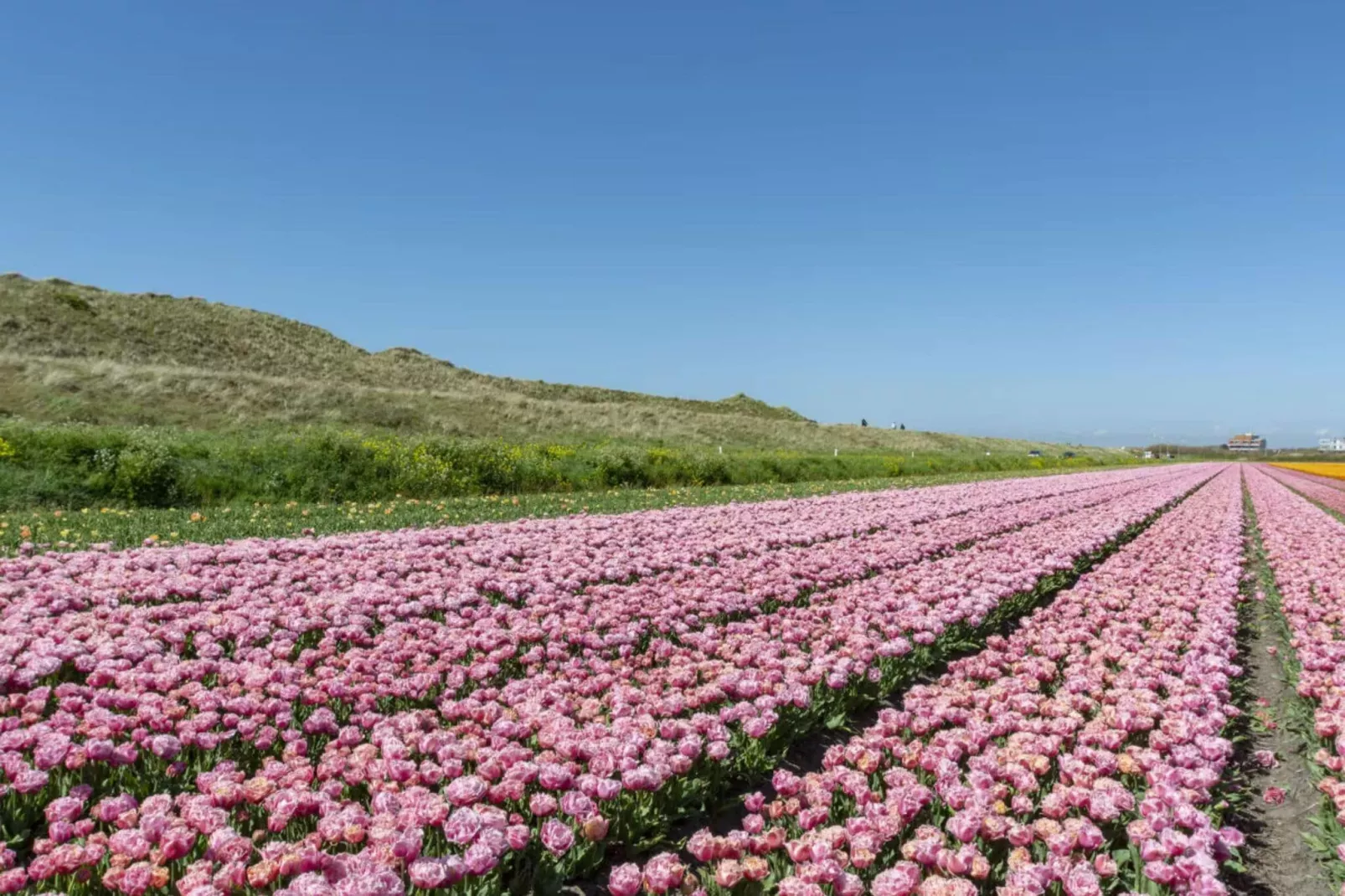 Hoeve Landzicht-Gebieden zomer 20km