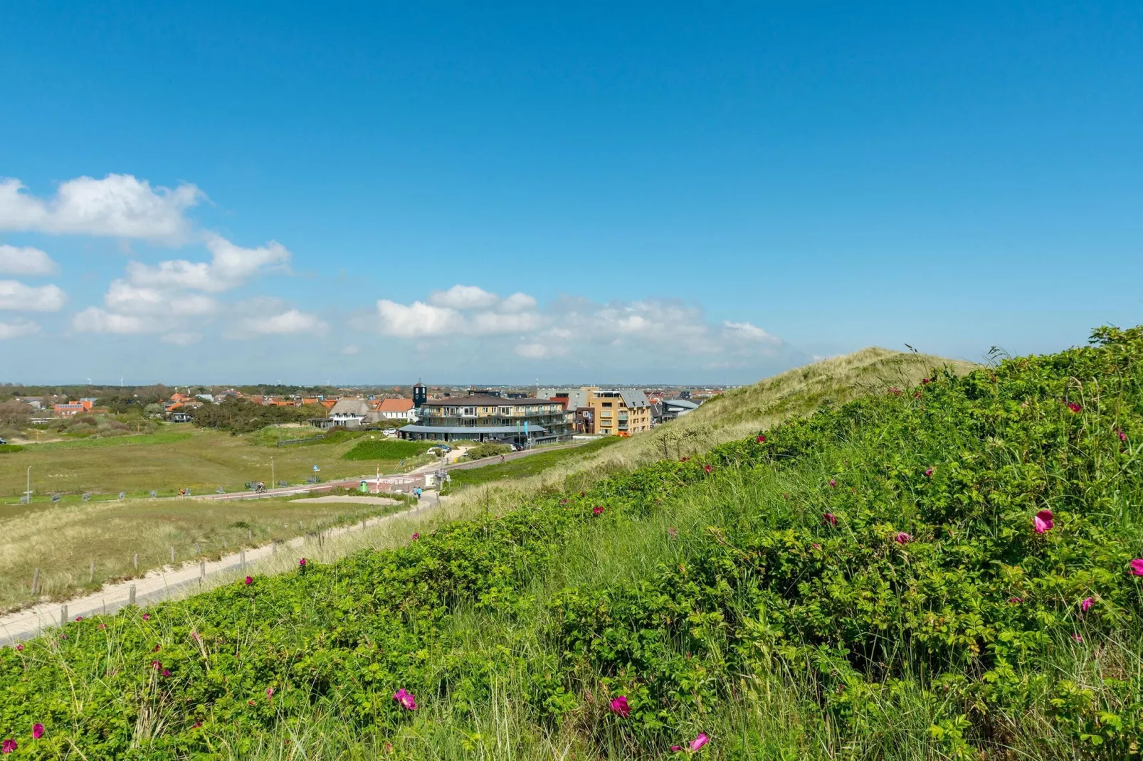 Wijde Blick 201-Gebieden zomer 1km