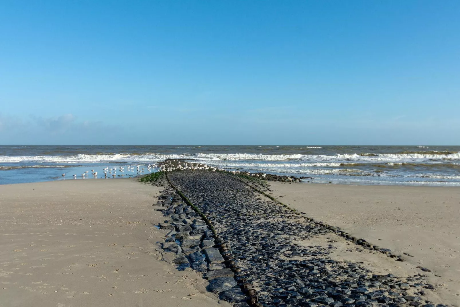 Wijde Blick 203-Gebieden zomer 5km