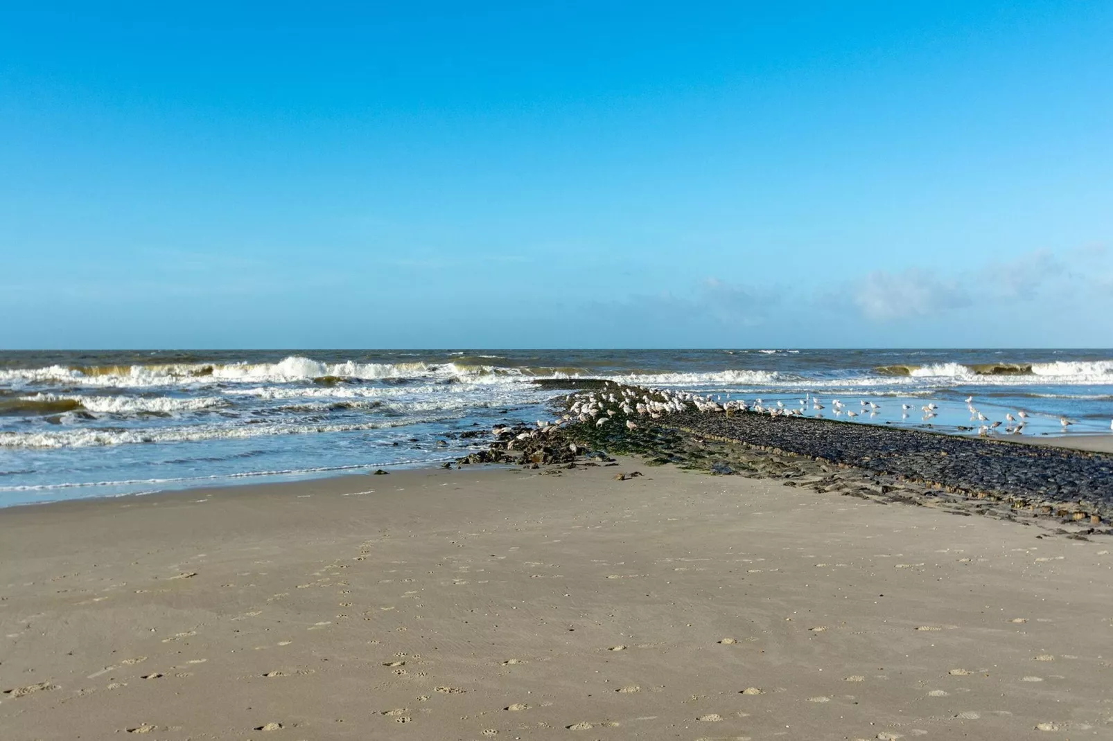 Wood Lodge-Gebieden zomer 5km