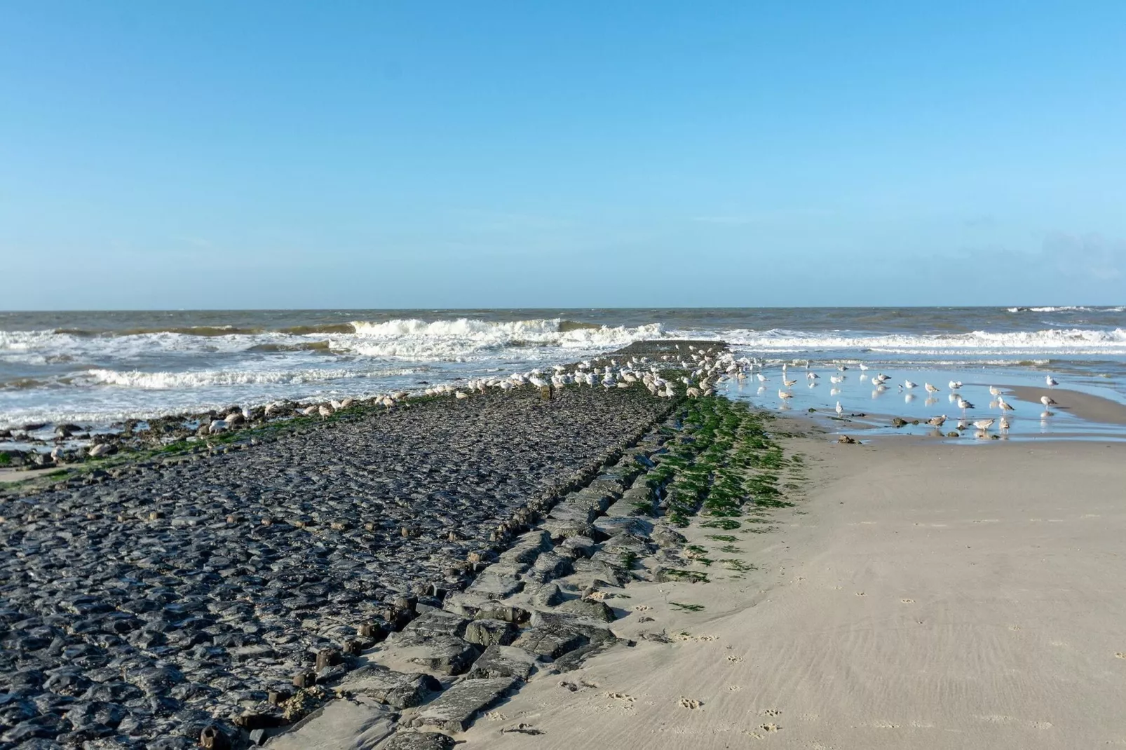 Wood Lodge-Gebieden zomer 5km