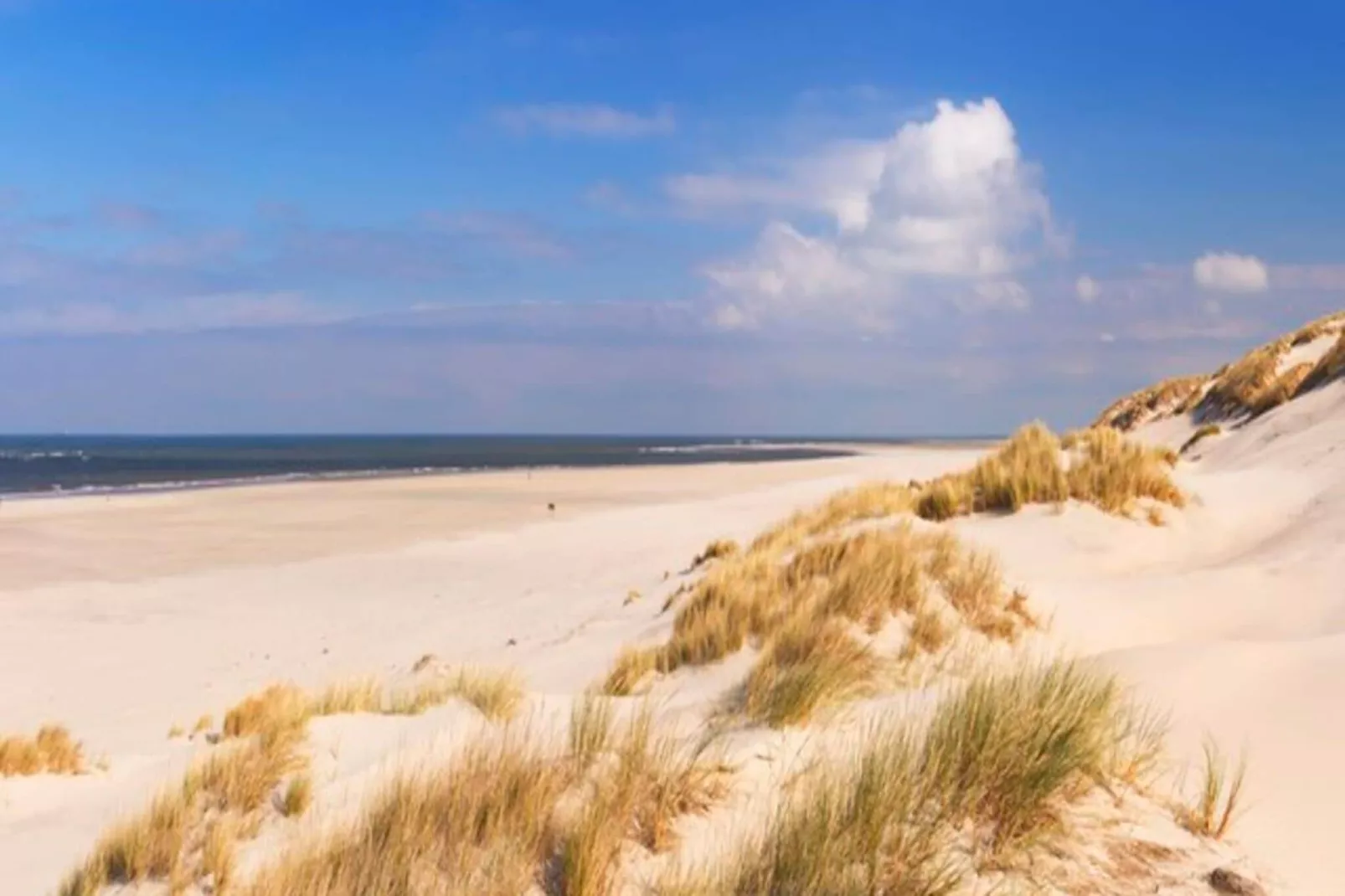 Wijde Blick 301-Gebieden zomer 5km