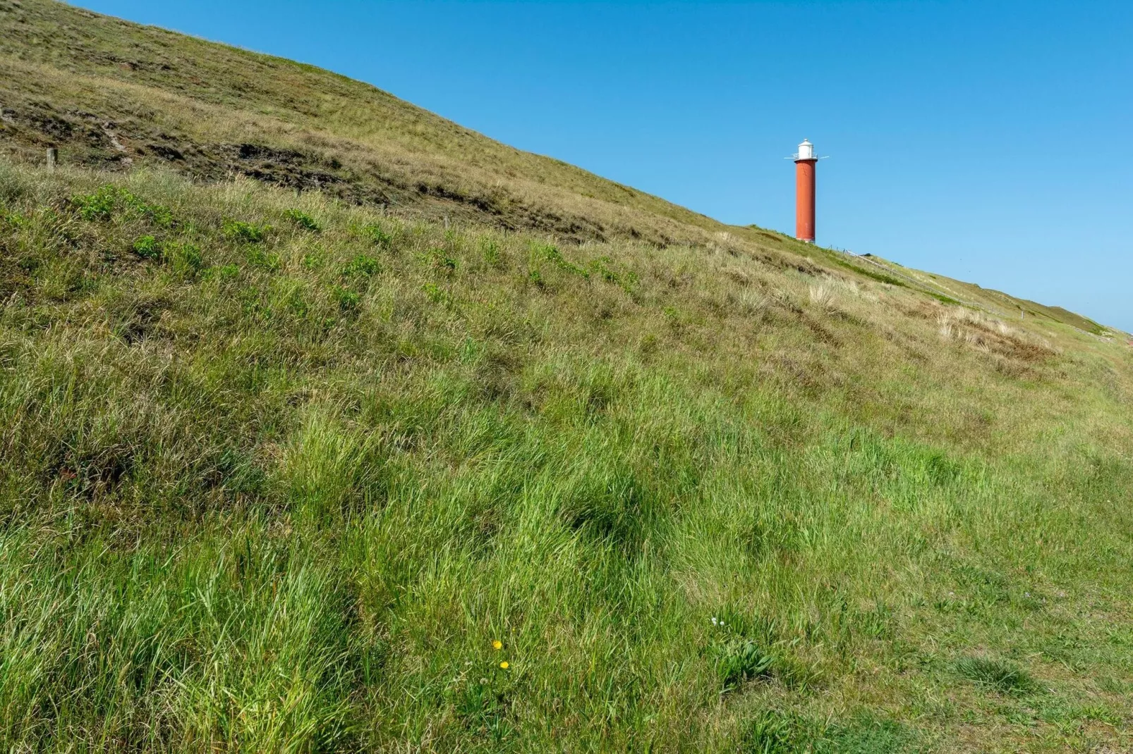 Langevliet 4 Klaver 4