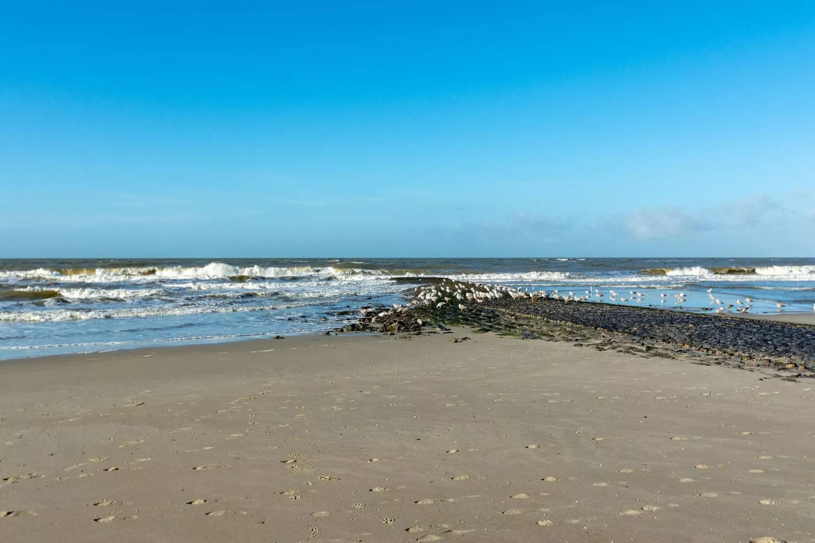 Wijde Blick 310-Gebieden zomer 5km