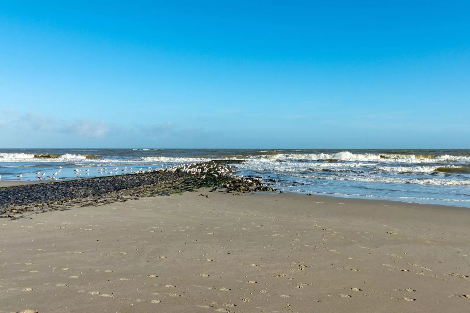 Wijde Blick 310-Uitzicht zomer