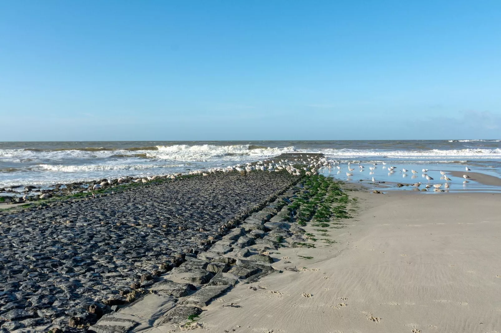 Wijde Blick 311-Gebieden zomer 5km