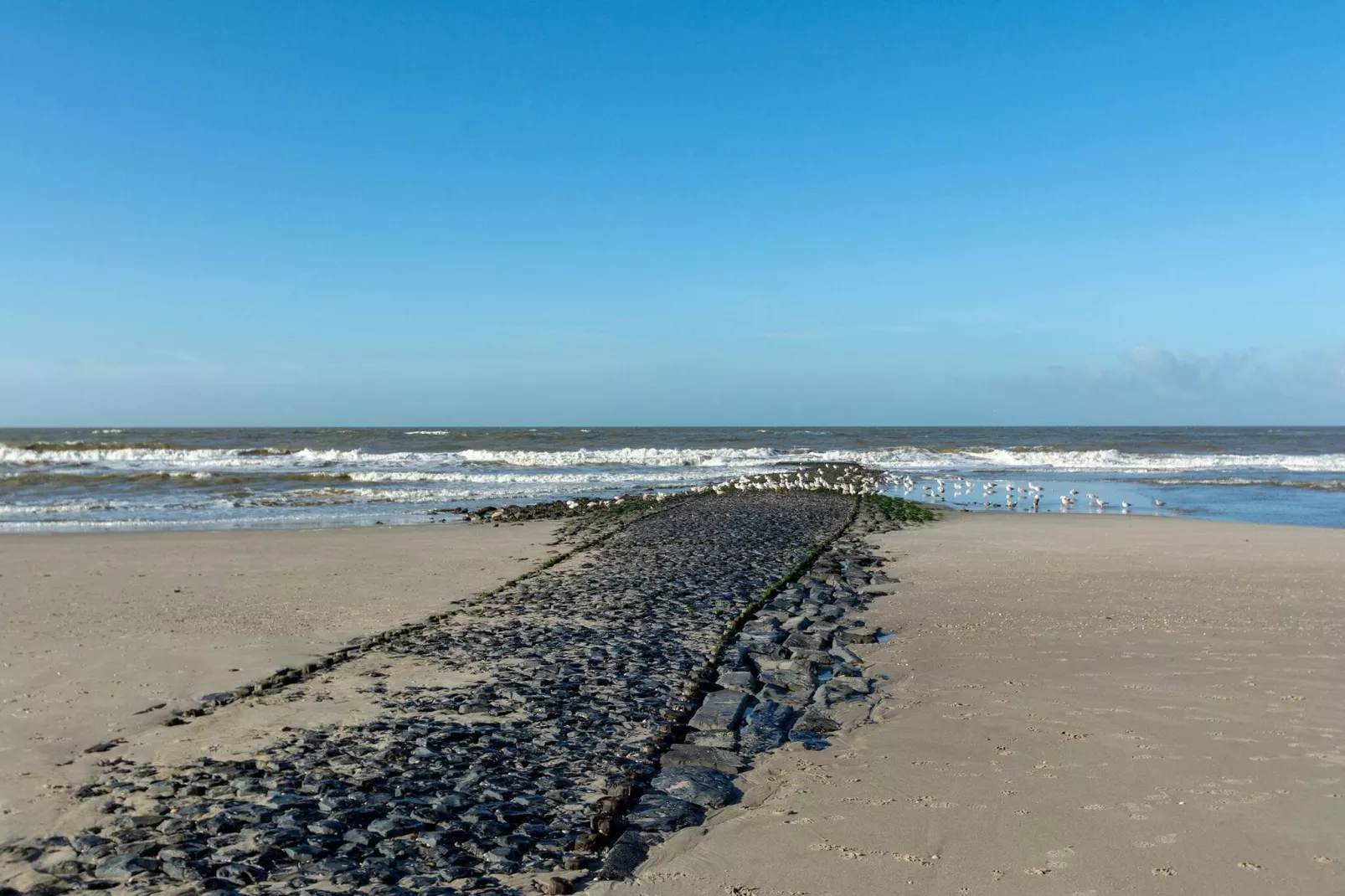 Wijde Blick 311-Gebieden zomer 5km