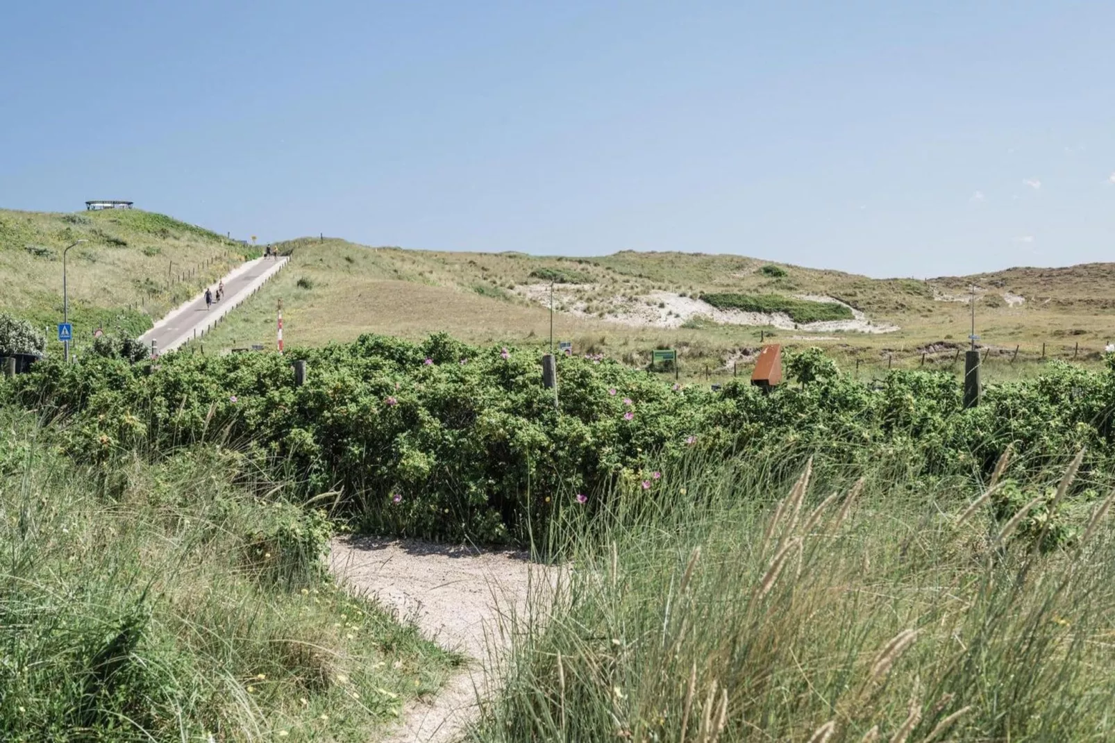 Duynsuites aan zee-Buitenkant zomer