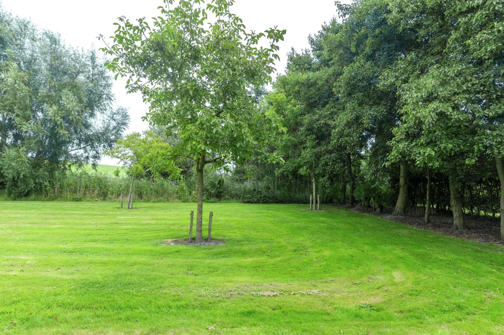 De Notenweide-Tuinen zomer