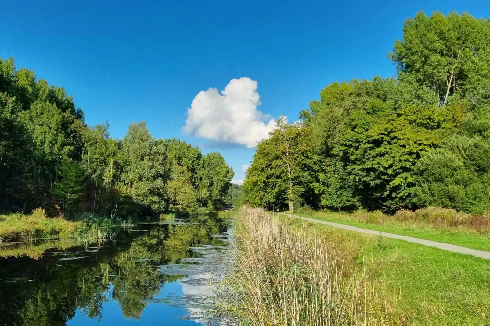 Watervilla Calore 575-Gebieden zomer 5km