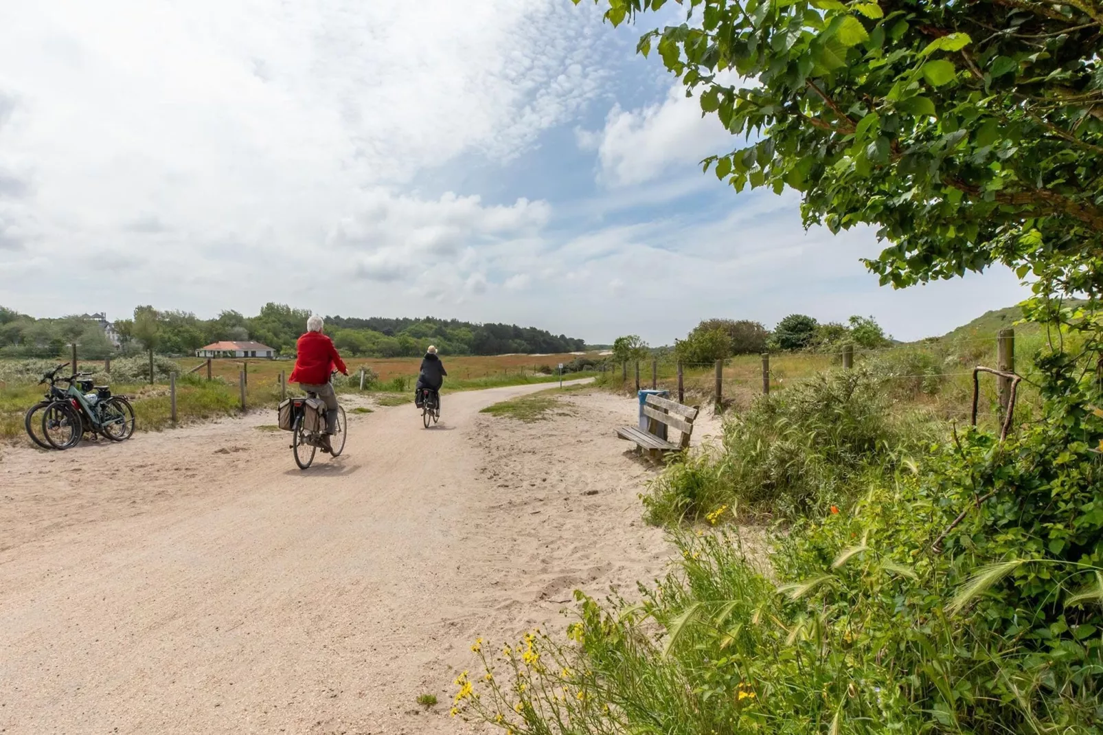 Vakantiewoning - Horizon 14  Renesse-Gebieden zomer 5km