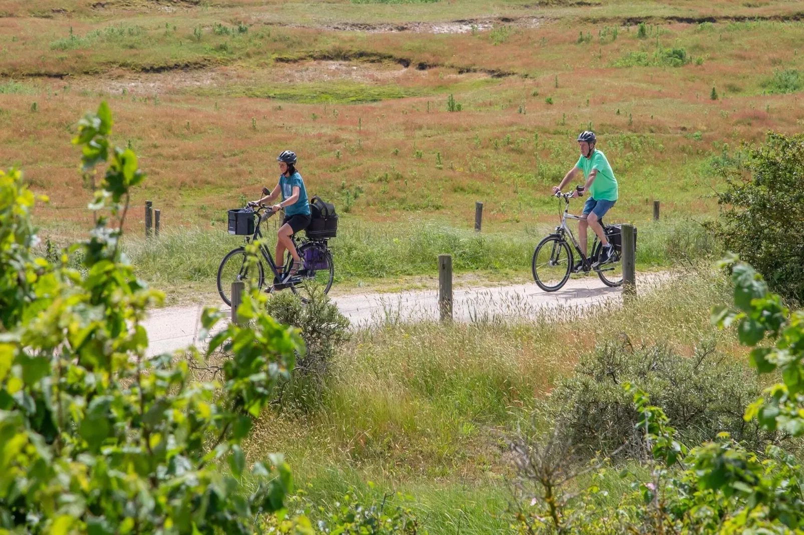 Vakantiewoning - Horizon 14  Renesse-Gebieden zomer 5km