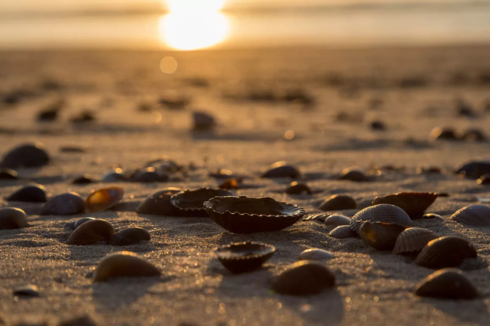 Strand Dishoek 345/346-Sfeer