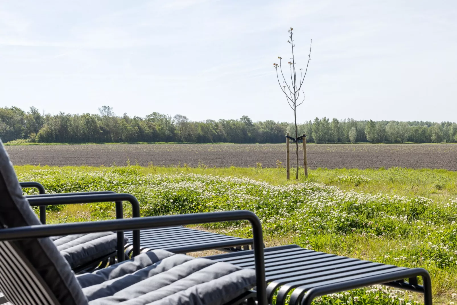 Heerlijkheid Vlietenburg 18-Uitzicht zomer