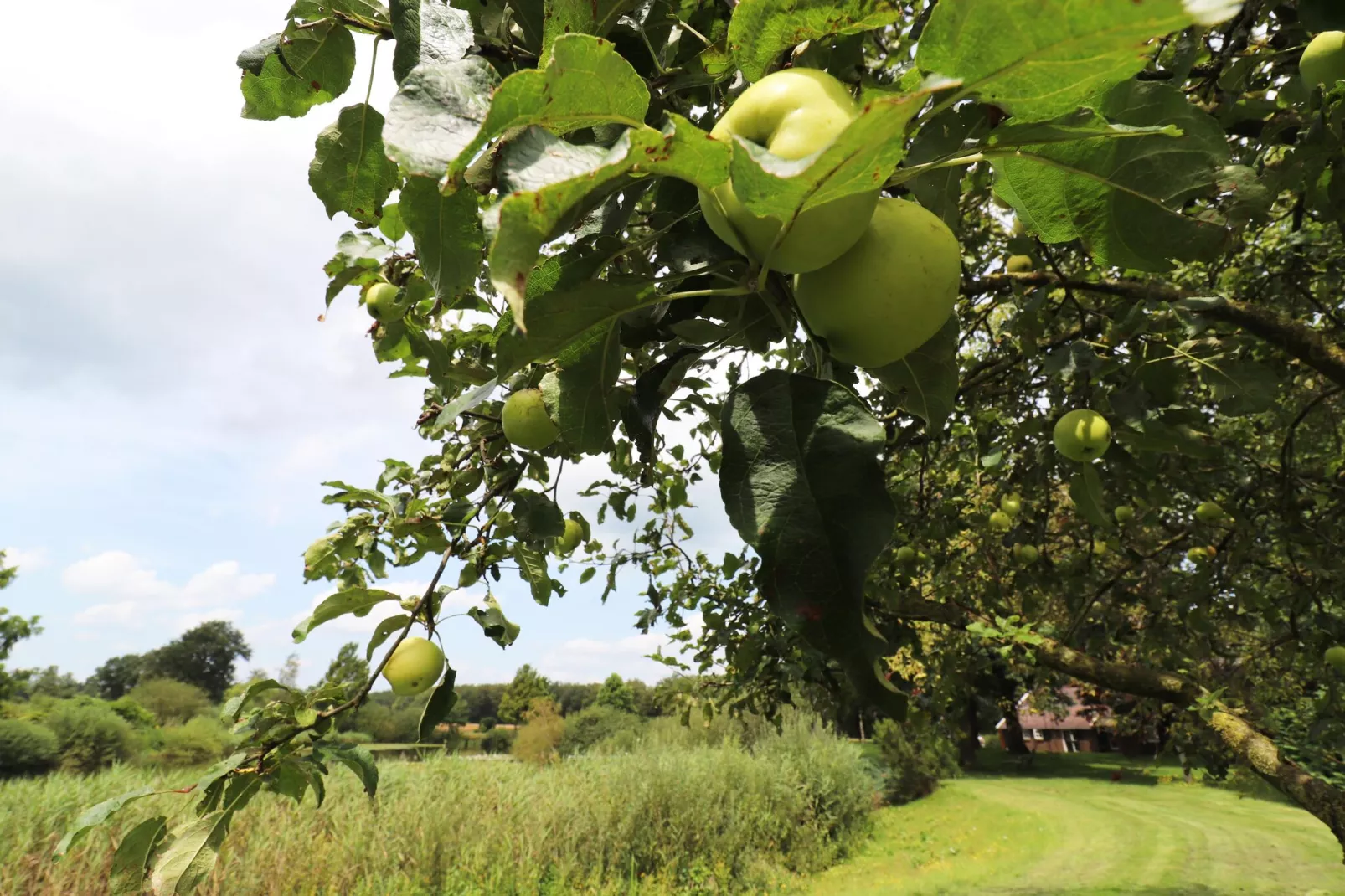 Landgoed de Klimberg-Tuinen zomer