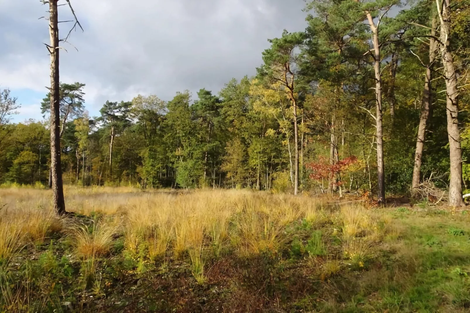 Wellnes suite-Gebieden zomer 5km