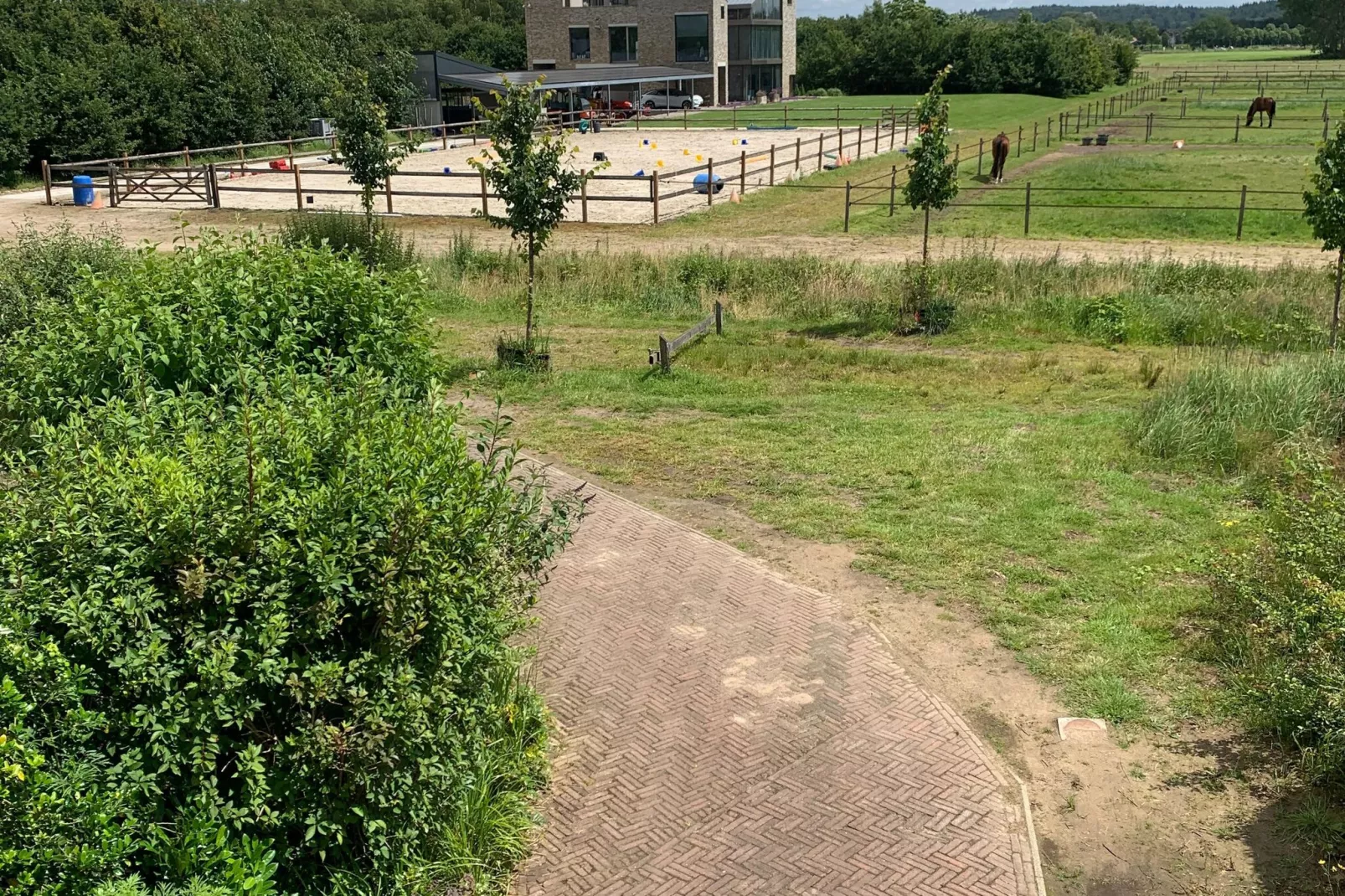 De Liemers-Gebieden zomer 1km