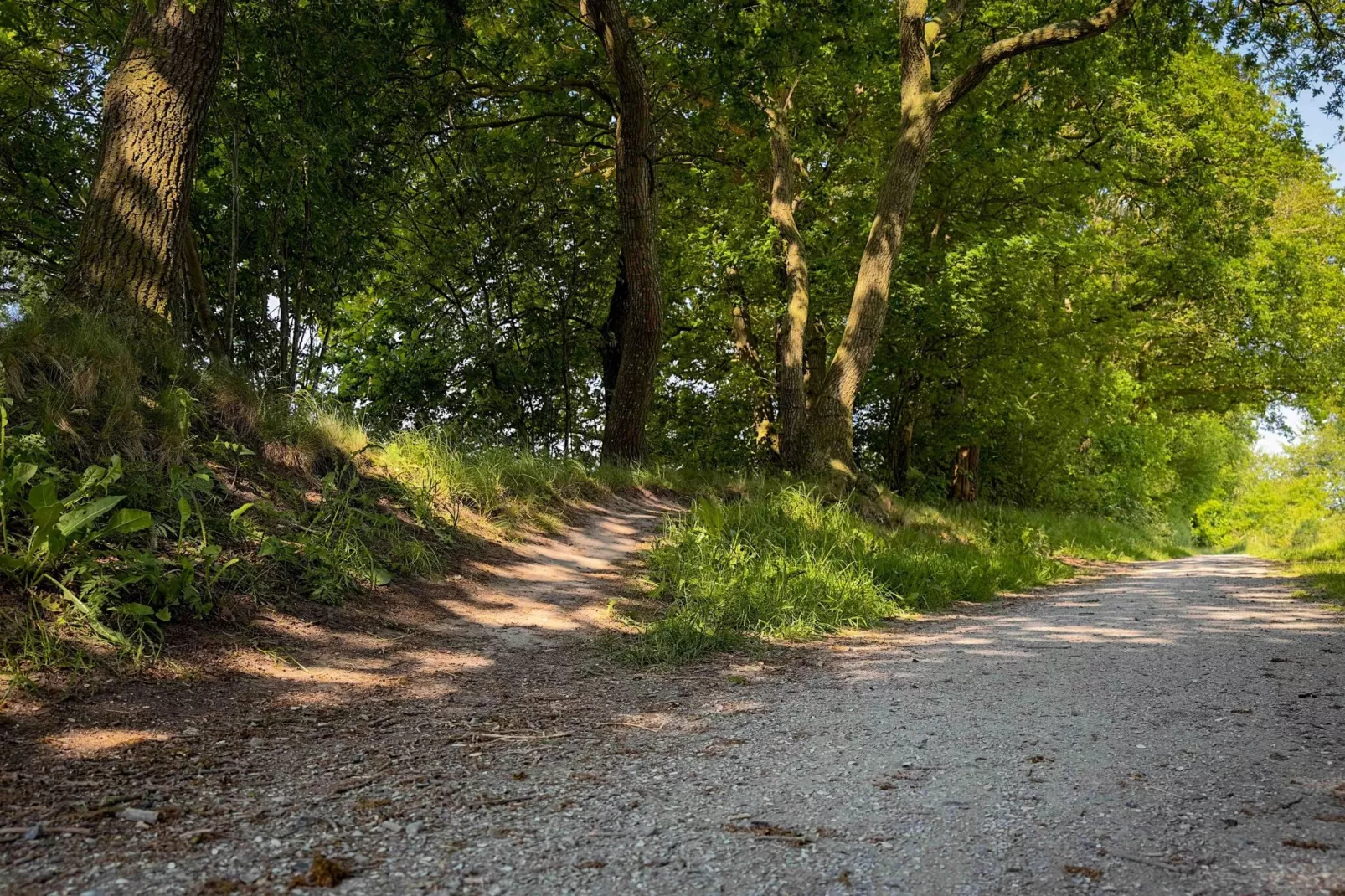 It Simmerhuske-Gebieden zomer 5km