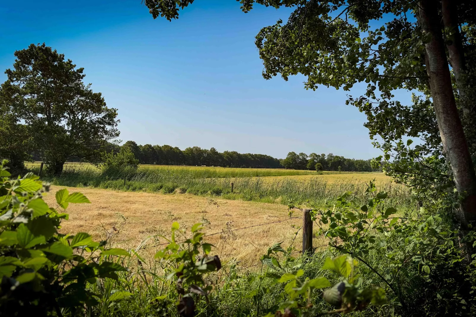 It Simmerhuske-Gebieden zomer 5km