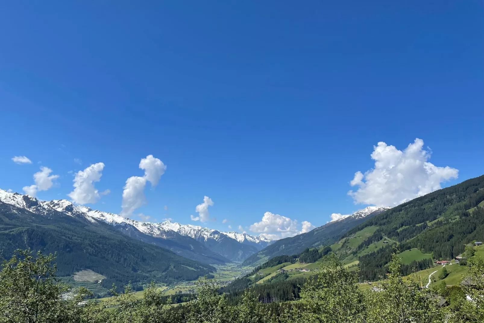 Motzerngut-Uitzicht zomer