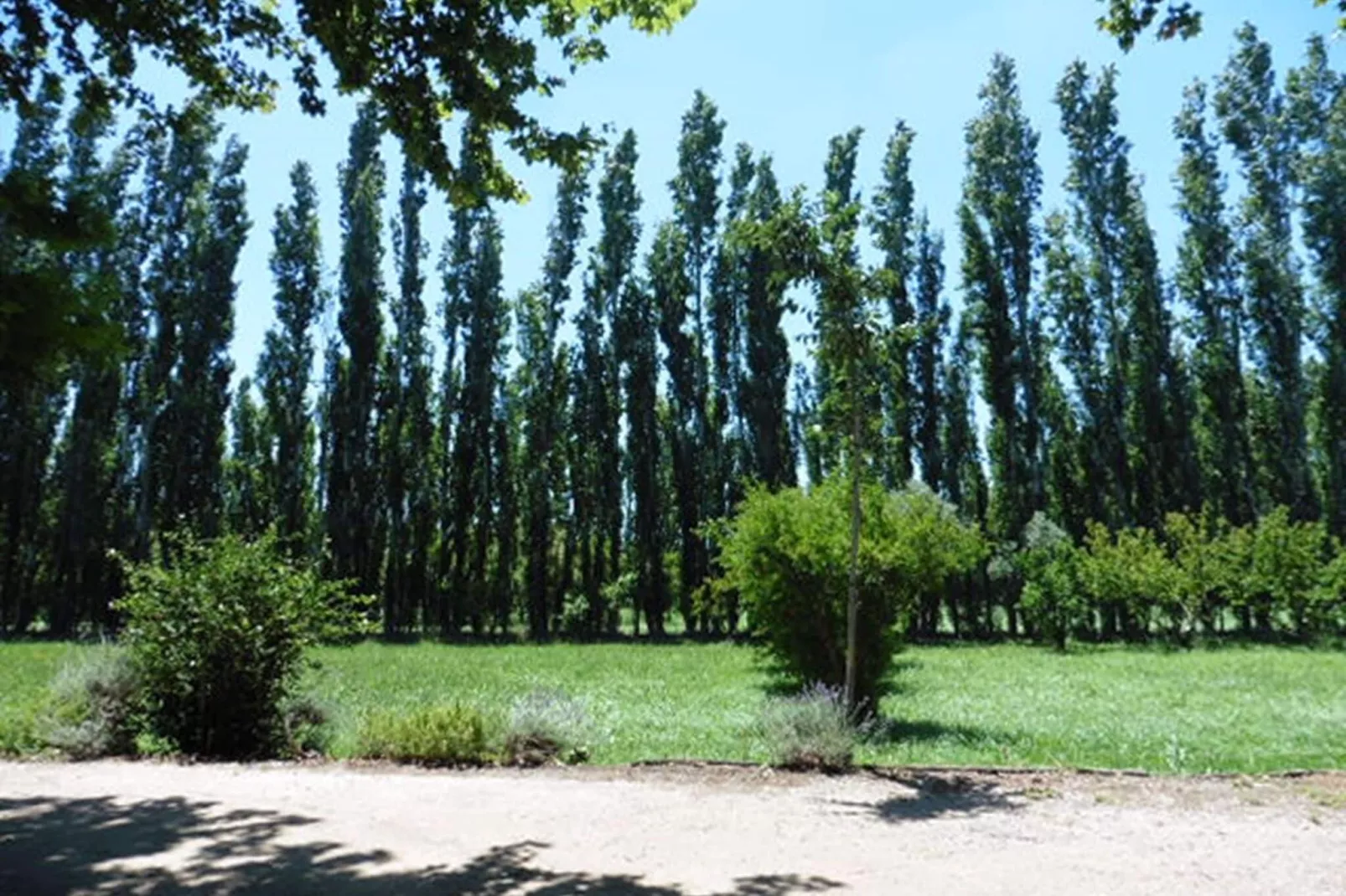 Doppelhaushälfte in Beaucaire-Uitzicht zomer