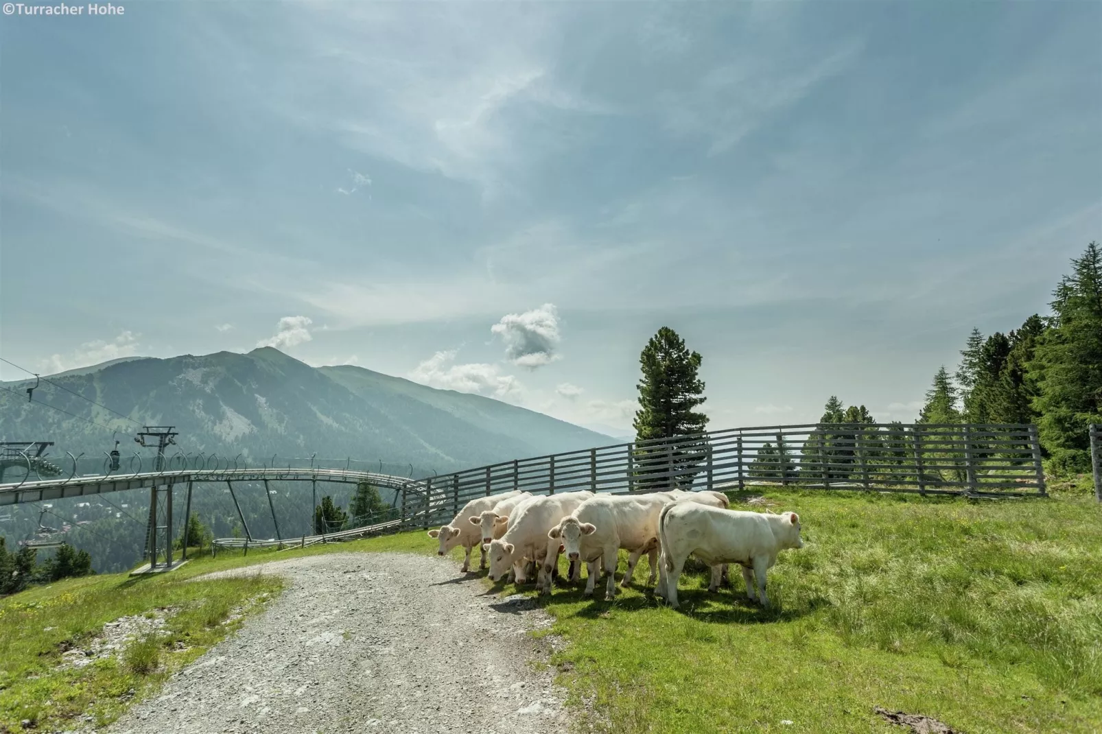 Alpenpark Turrach Apartments 4-Gebieden zomer 5km