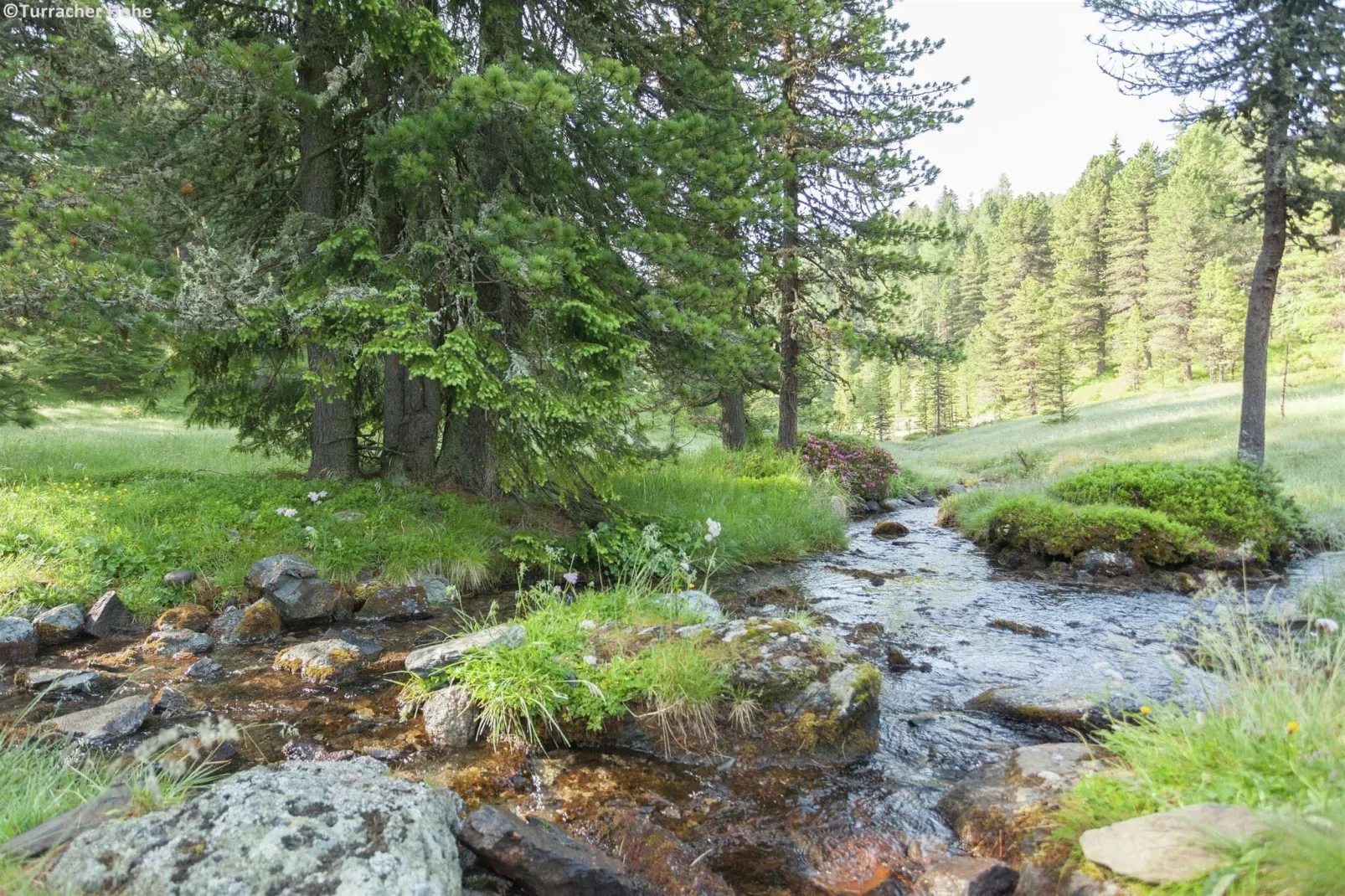 Alpenpark Turrach Apartments 4-Gebieden zomer 1km