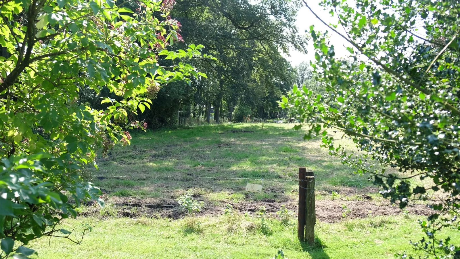 Park Kalheupink-Uitzicht zomer