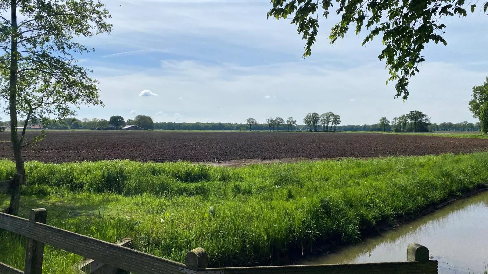 De Groene Haven-Uitzicht