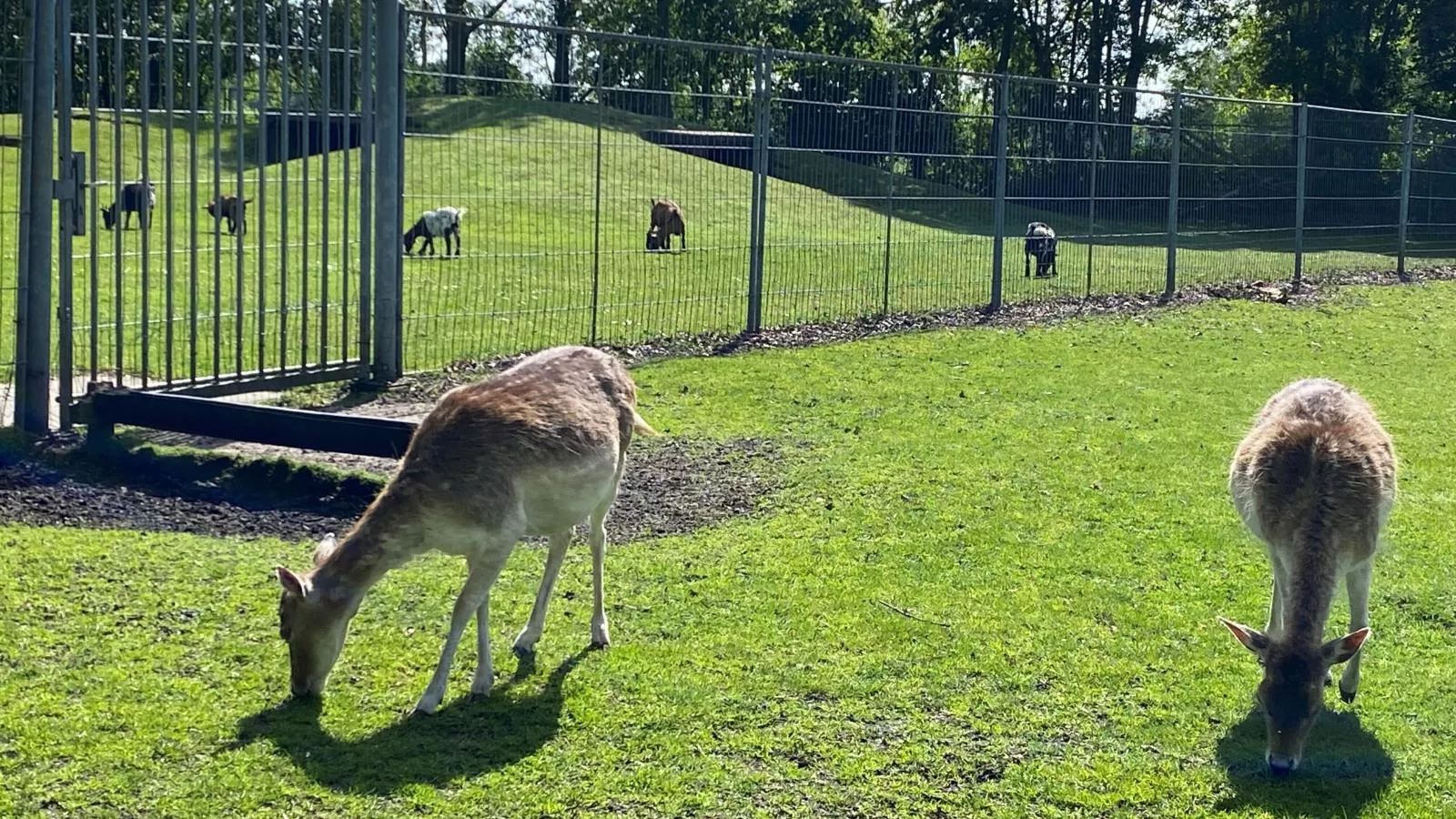 Mali-Parkfaciliteiten