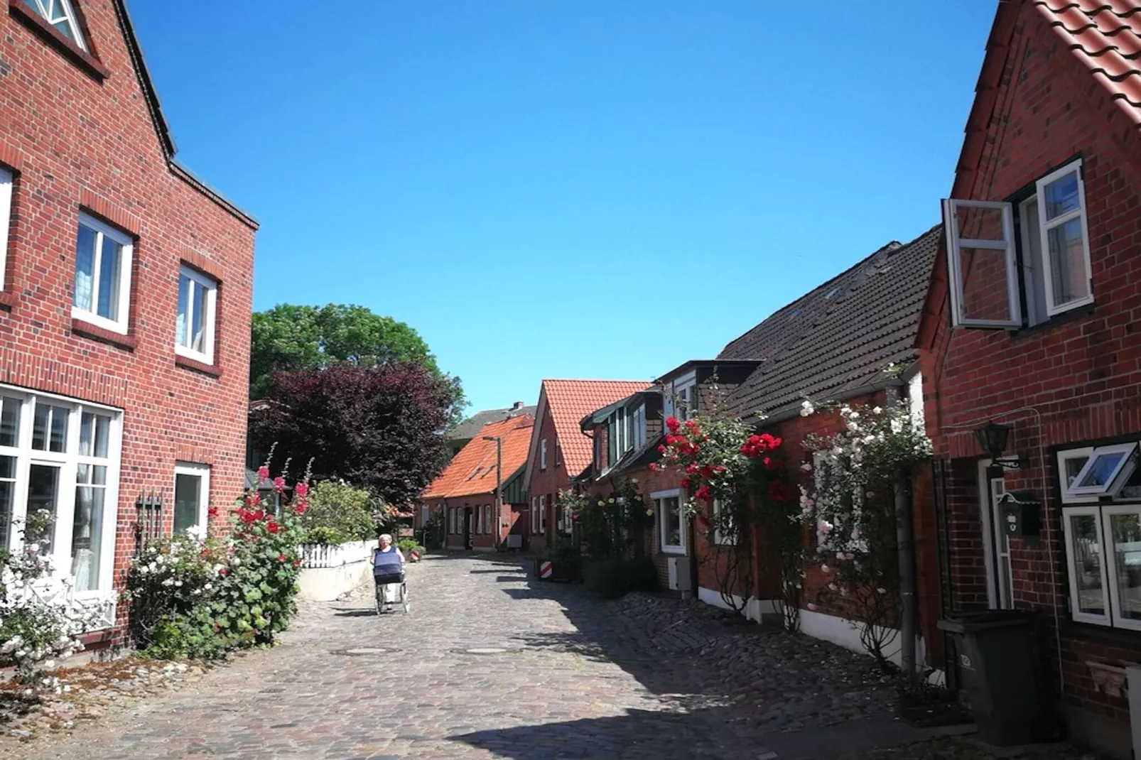 Ferienhaus Fehmarn-Gebieden zomer 1km