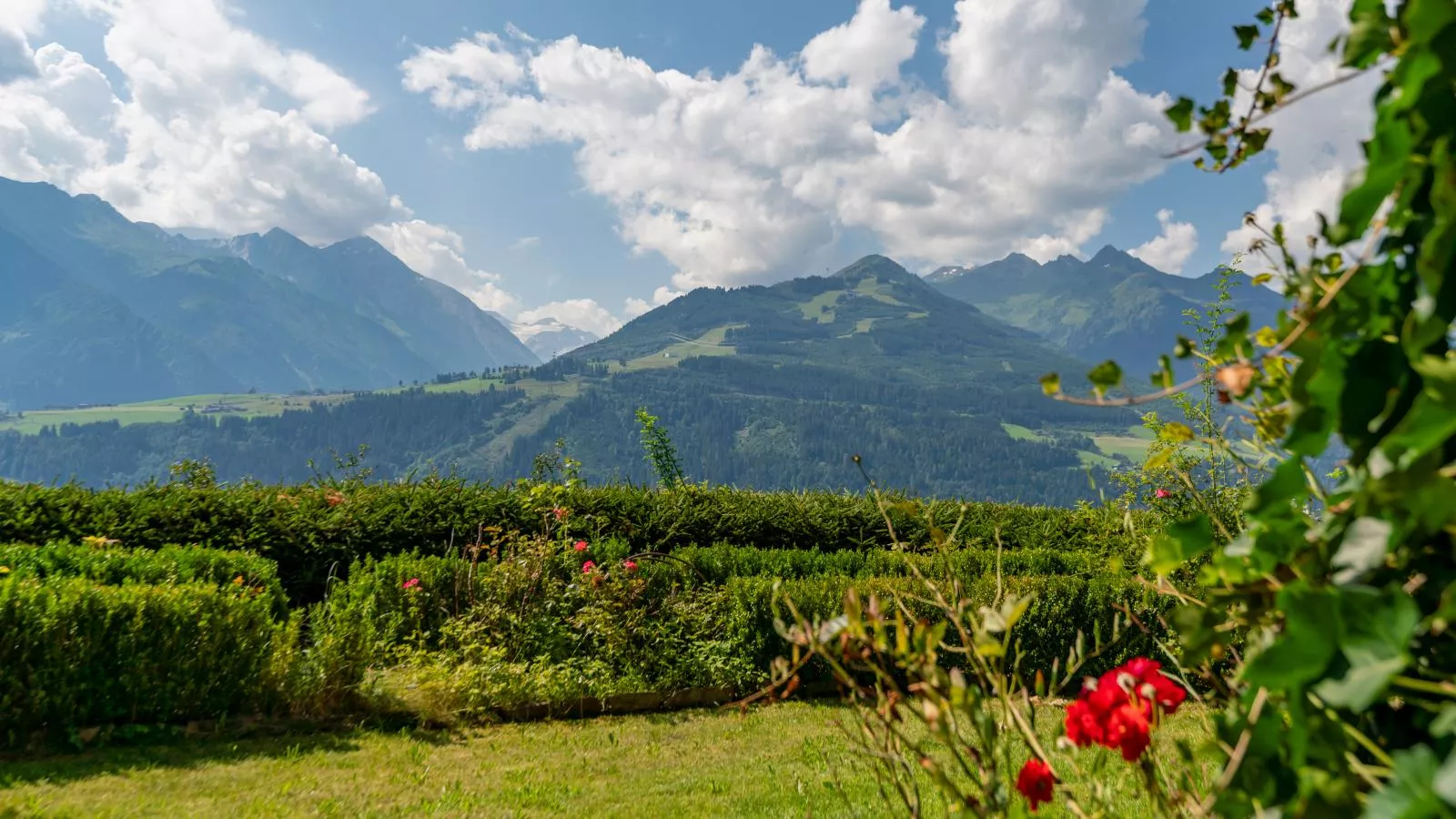 Chalet Sandra-Uitzicht zomer