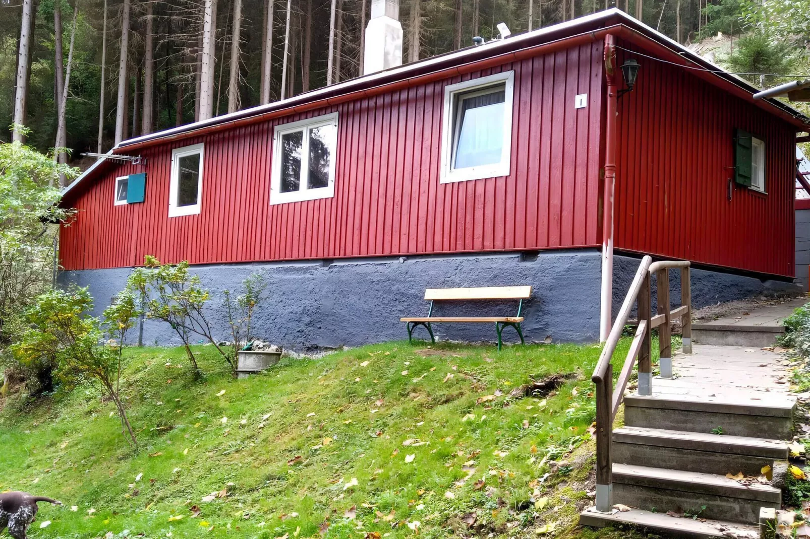 Schöne Hütte im Waldstück in Königsee-Querbachhütte-Buitenkant zomer