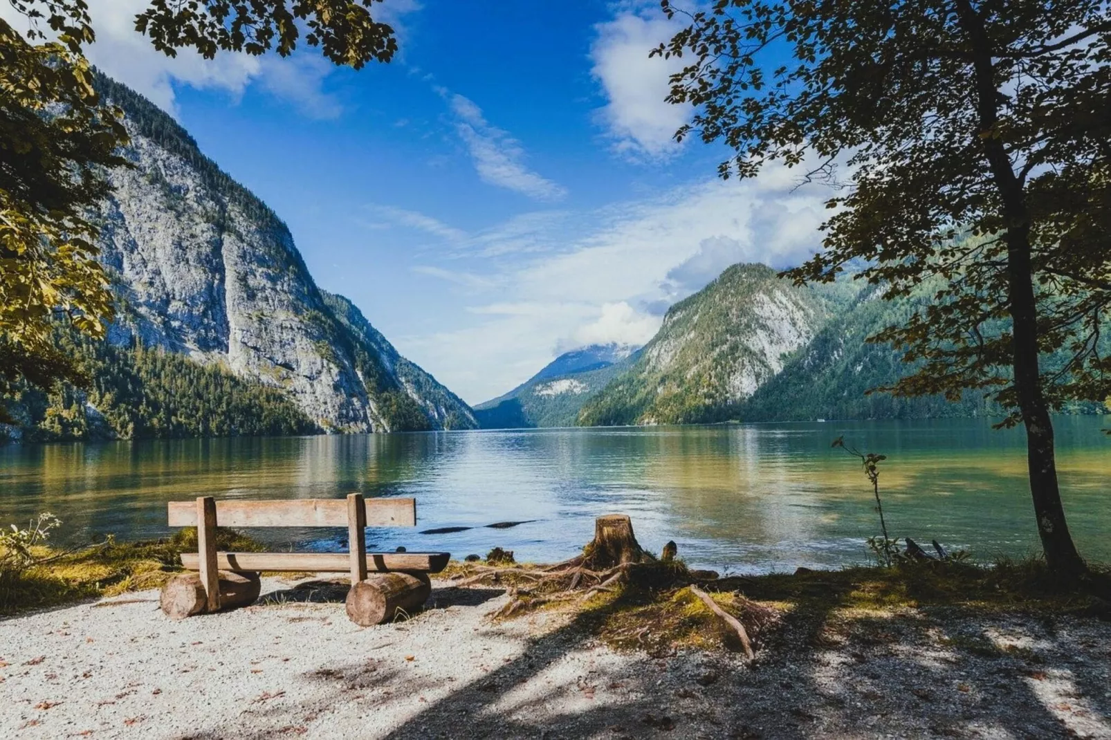 Schöne Hütte im Waldstück in Königsee-Querbachhütte-Gebieden zomer 20km