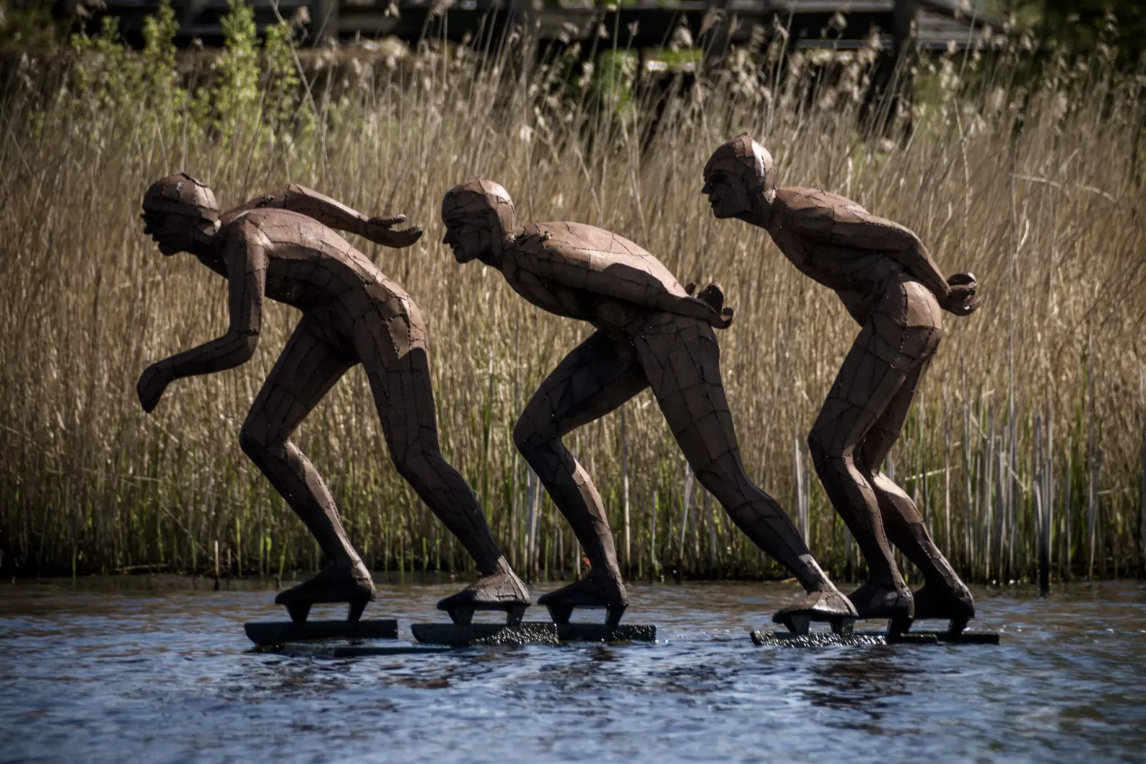 Grand Tolve Wellness de luxe met sauna buitenspa-Gebieden zomer 20km