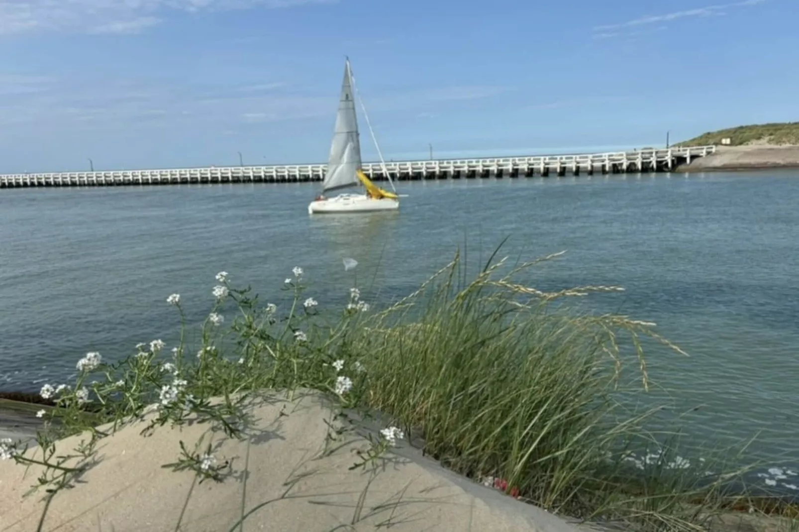 The sailboat D 405-Gebieden zomer 1km