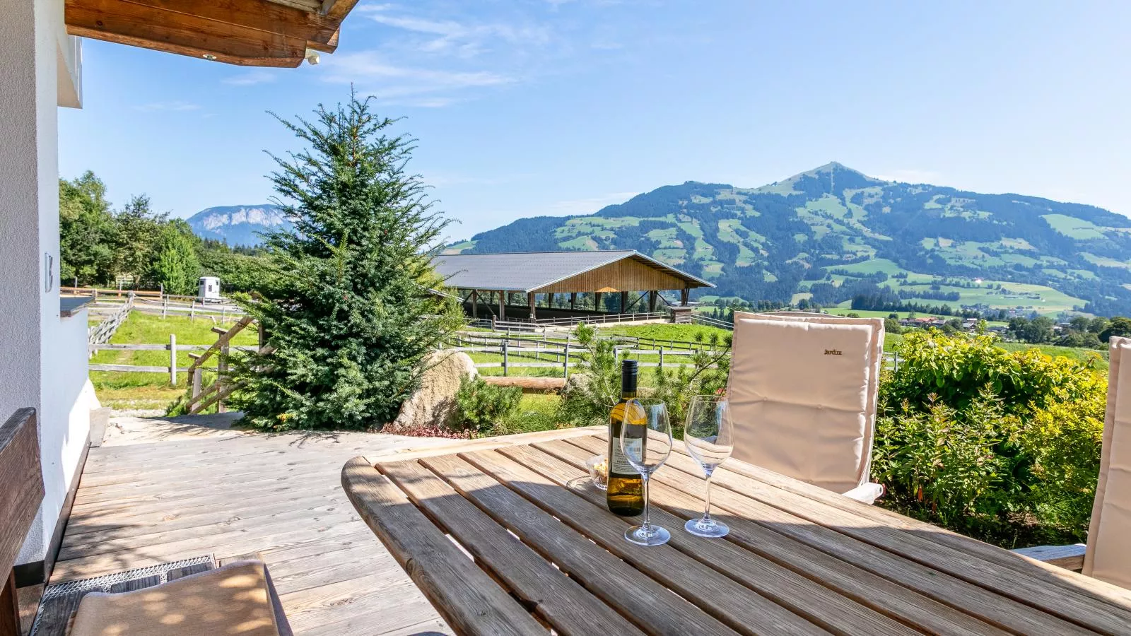 Blick ins Brixental-Terrasbalkon