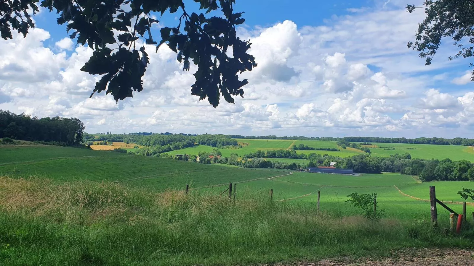 Landsraderhöfke - 1-Gebieden zomer 1km