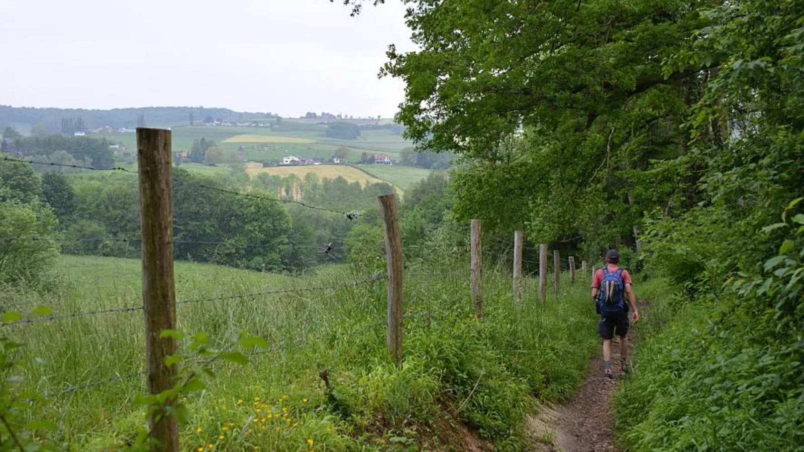 Landsraderhöfke - 1-Gebieden zomer 5km