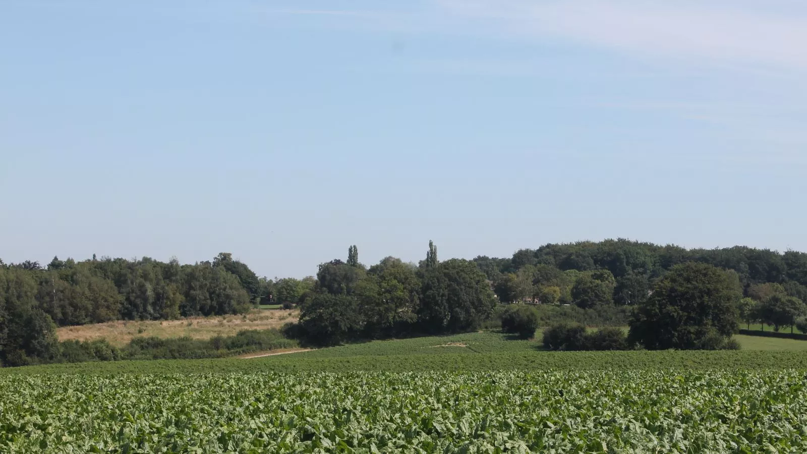 Landsraderhöfke - 4-Gebieden zomer 1km