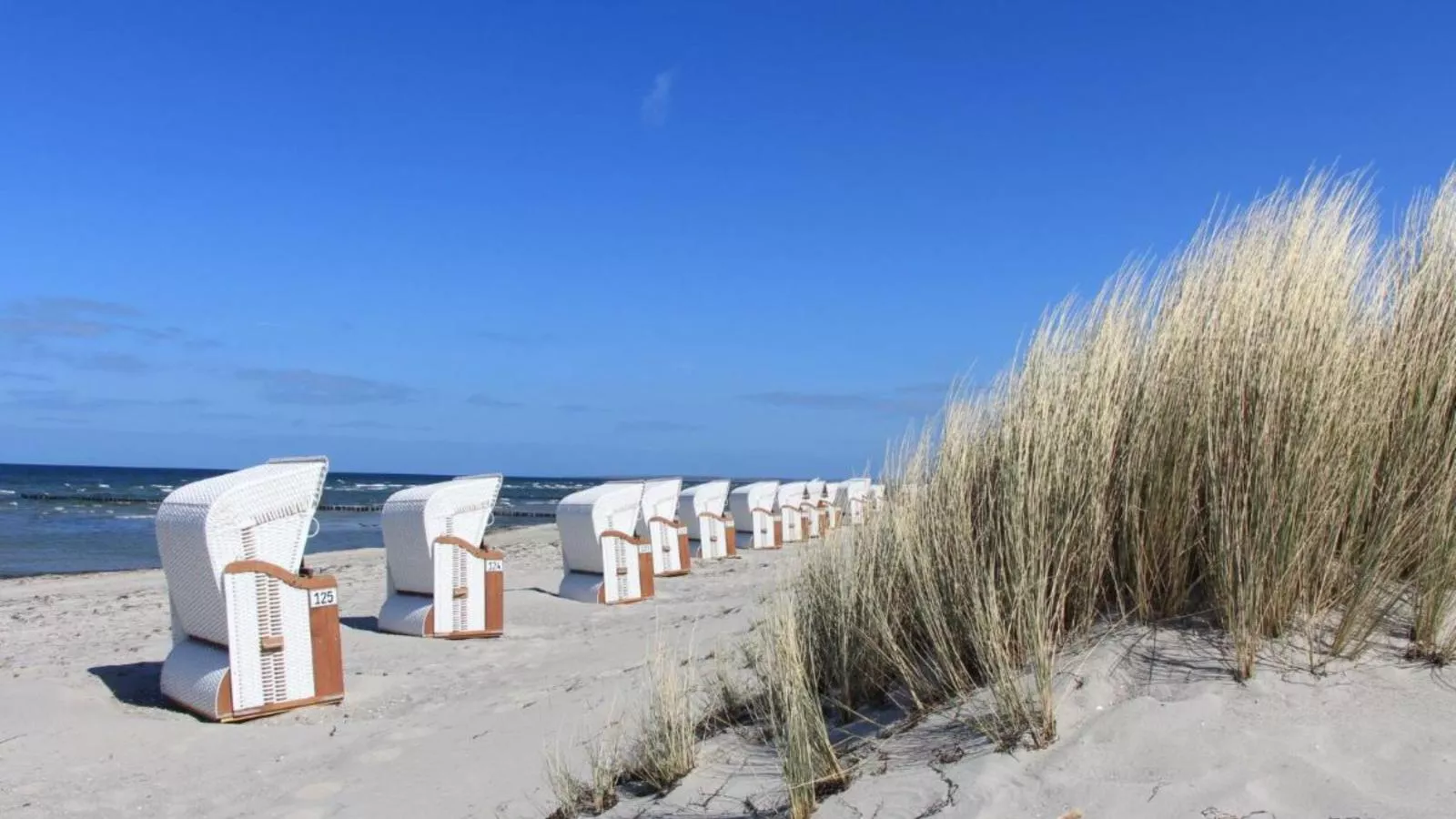 Gutshof Detershagen L-Gebieden zomer 20km