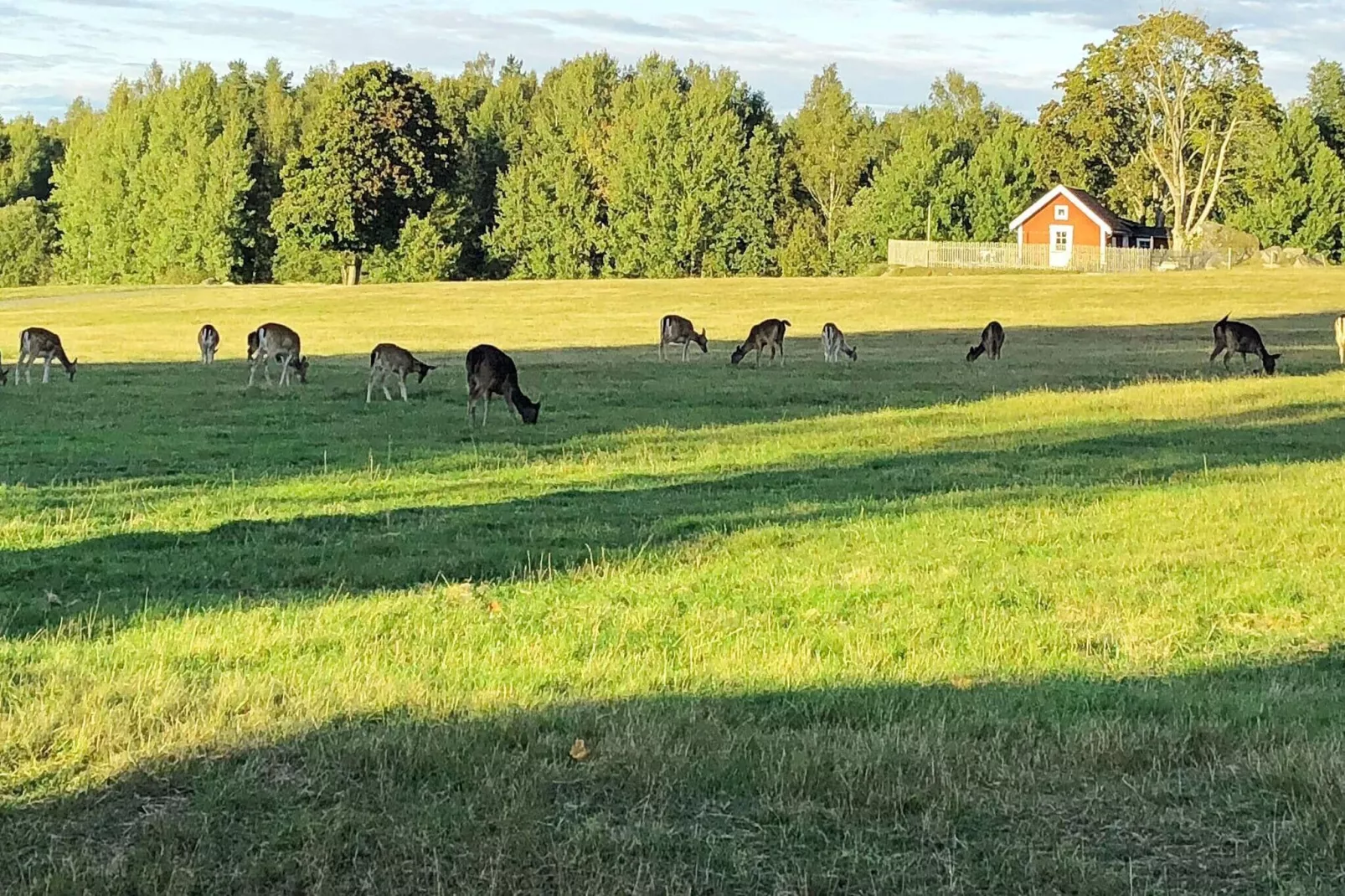 4 persoons vakantie huis in Högsjö-Buitenlucht