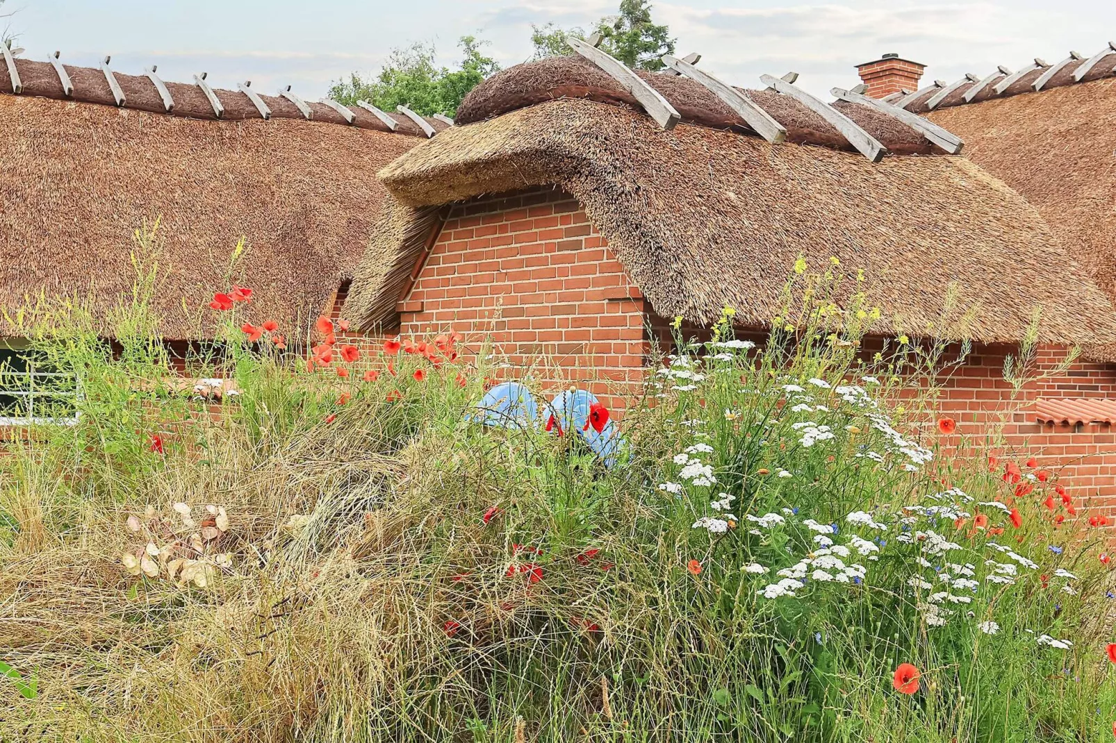 12 persoons vakantie huis in Væggerløse-Uitzicht