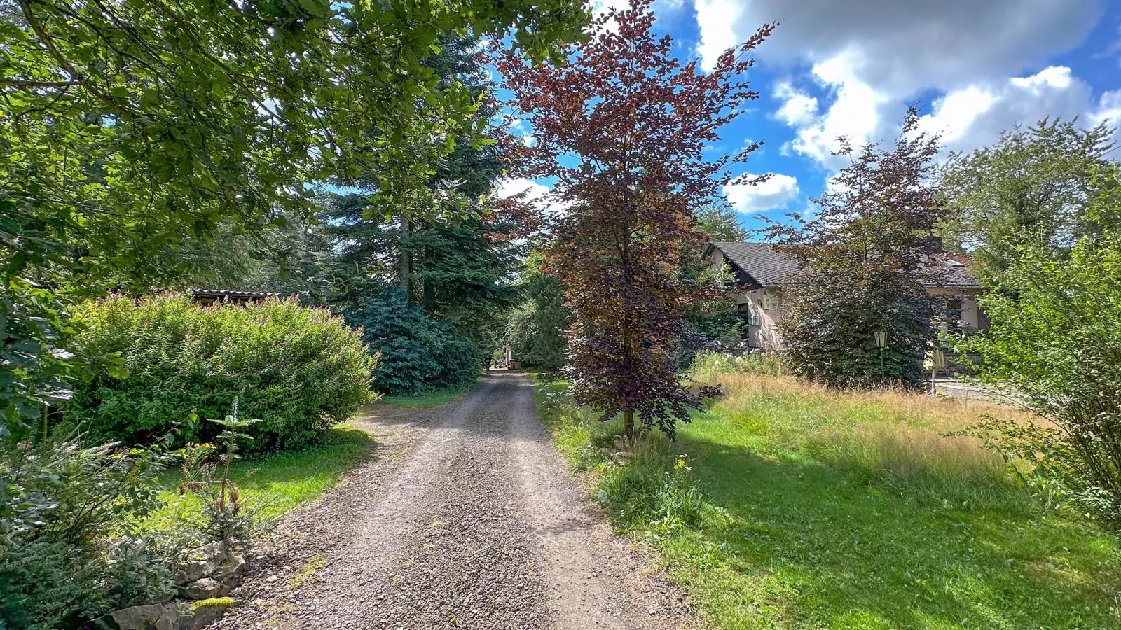 Wood Cabin-Gebieden zomer 1km