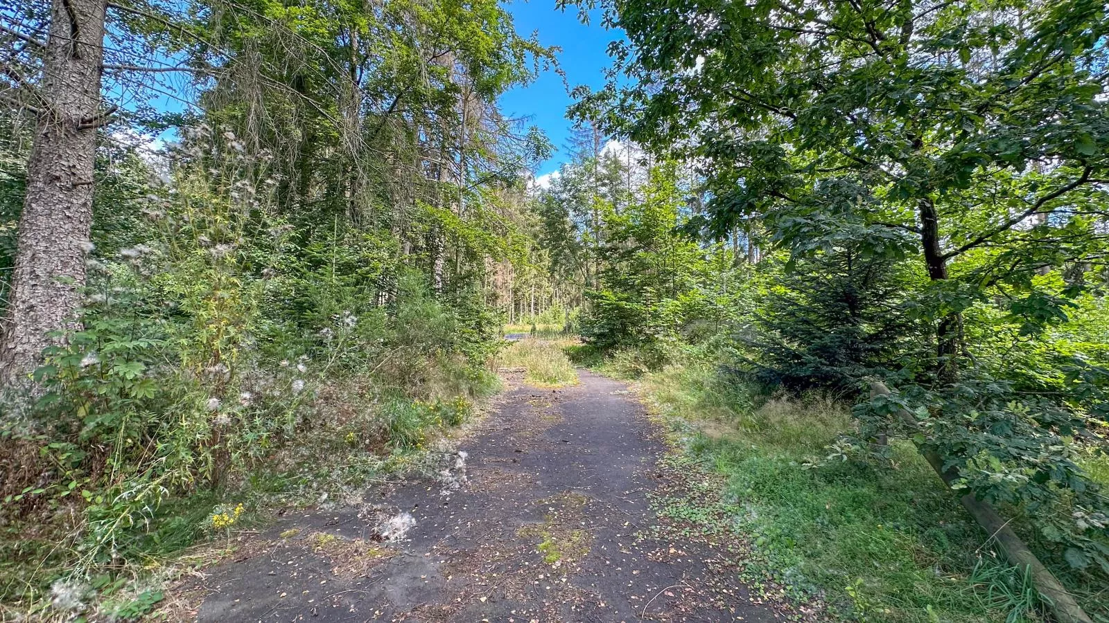 Wood Cabin-Gebieden zomer 1km