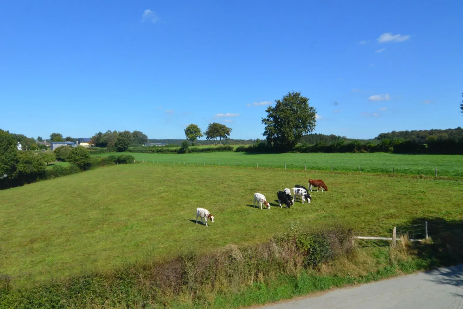 La Ferme d'Amel version 30 personnes-Gebieden zomer 1km