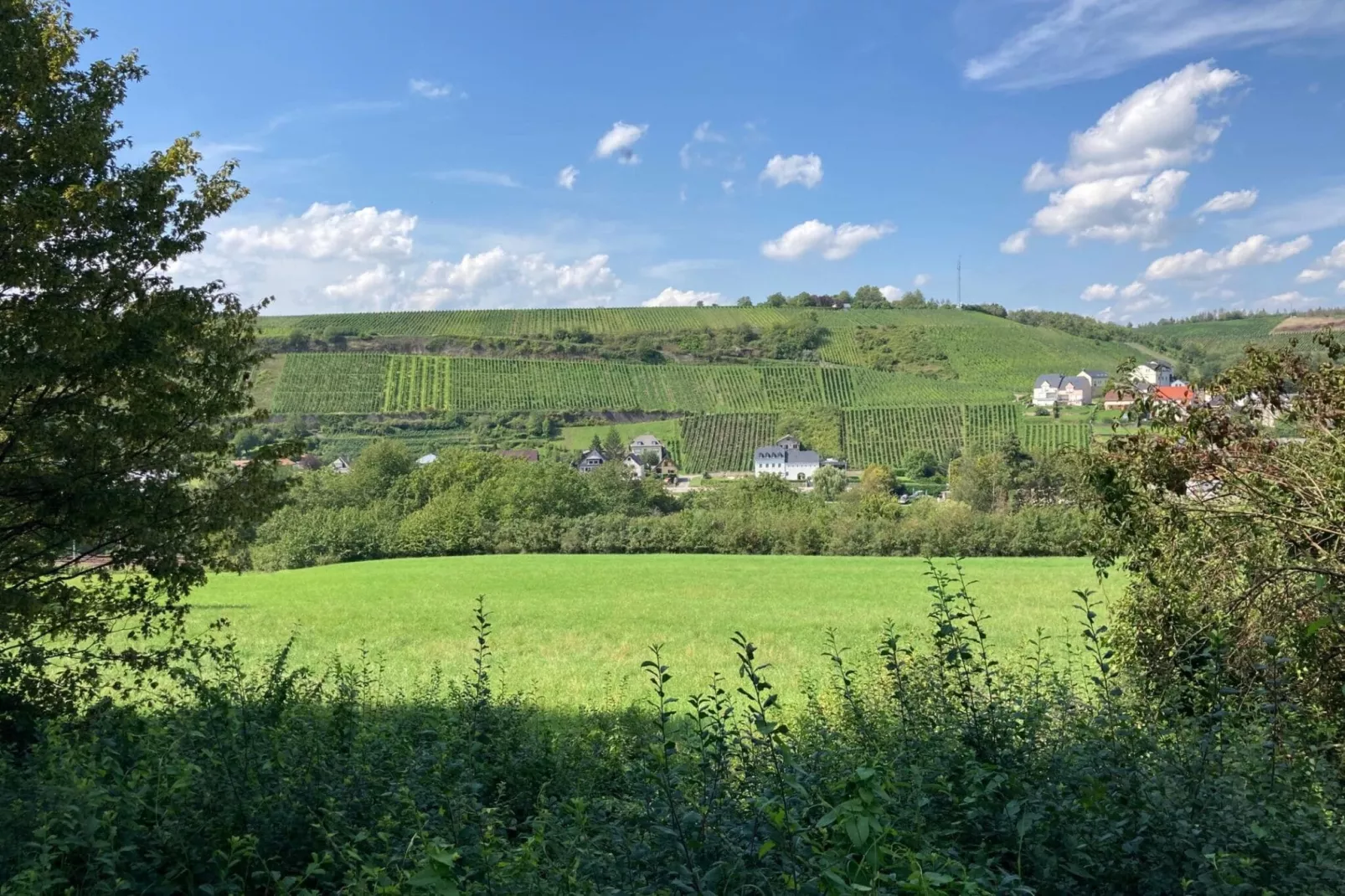 Ferienhaus Nattenheim