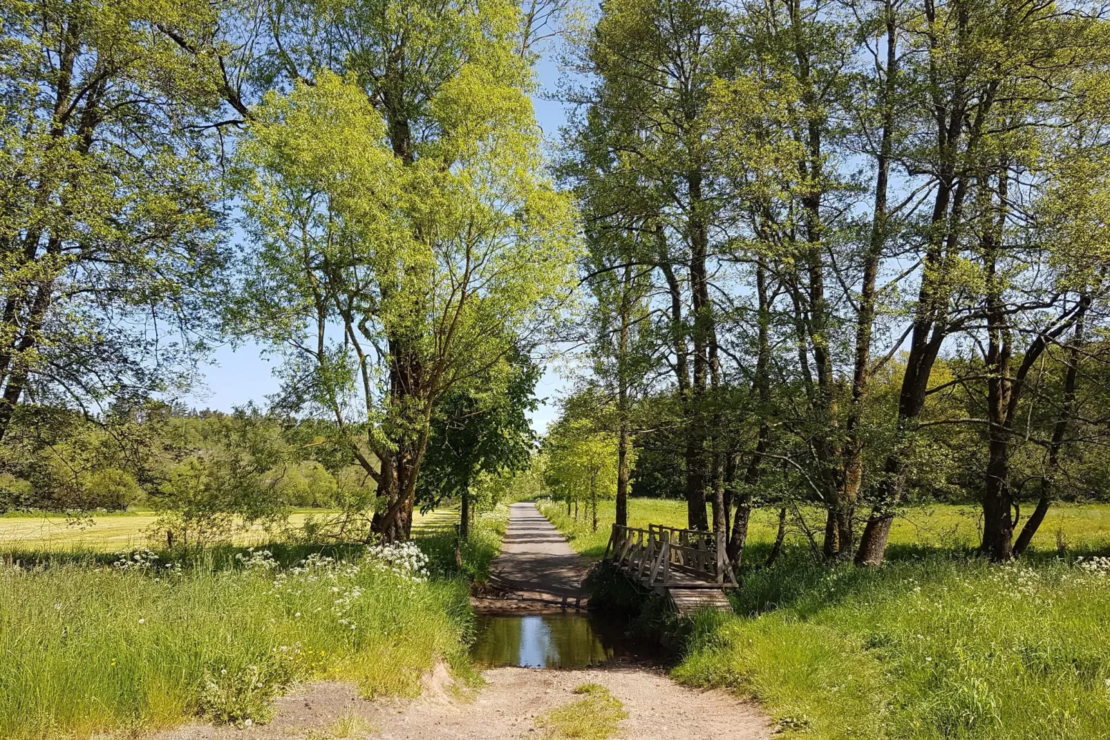 Boerenhof I-Gebieden zomer 5km